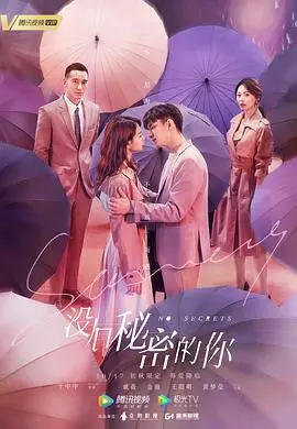 《没有秘密的你》：姐弟恋的甜蜜与守护，一场关于信任与成长的治愈之旅